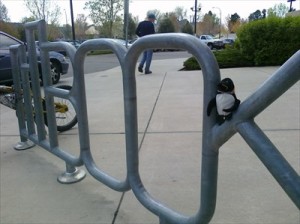 bike-rack-belmar