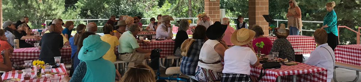 People at a picnic in western attire and sitting at tables with red and white checkerboard table clothes listening to a speaker.